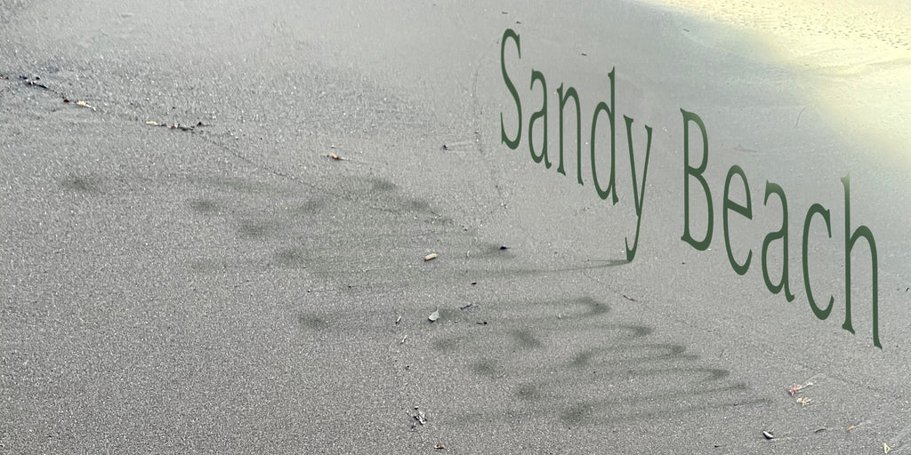 浜辺に風や波が描き出す模様 ｢Sandy Beach｣