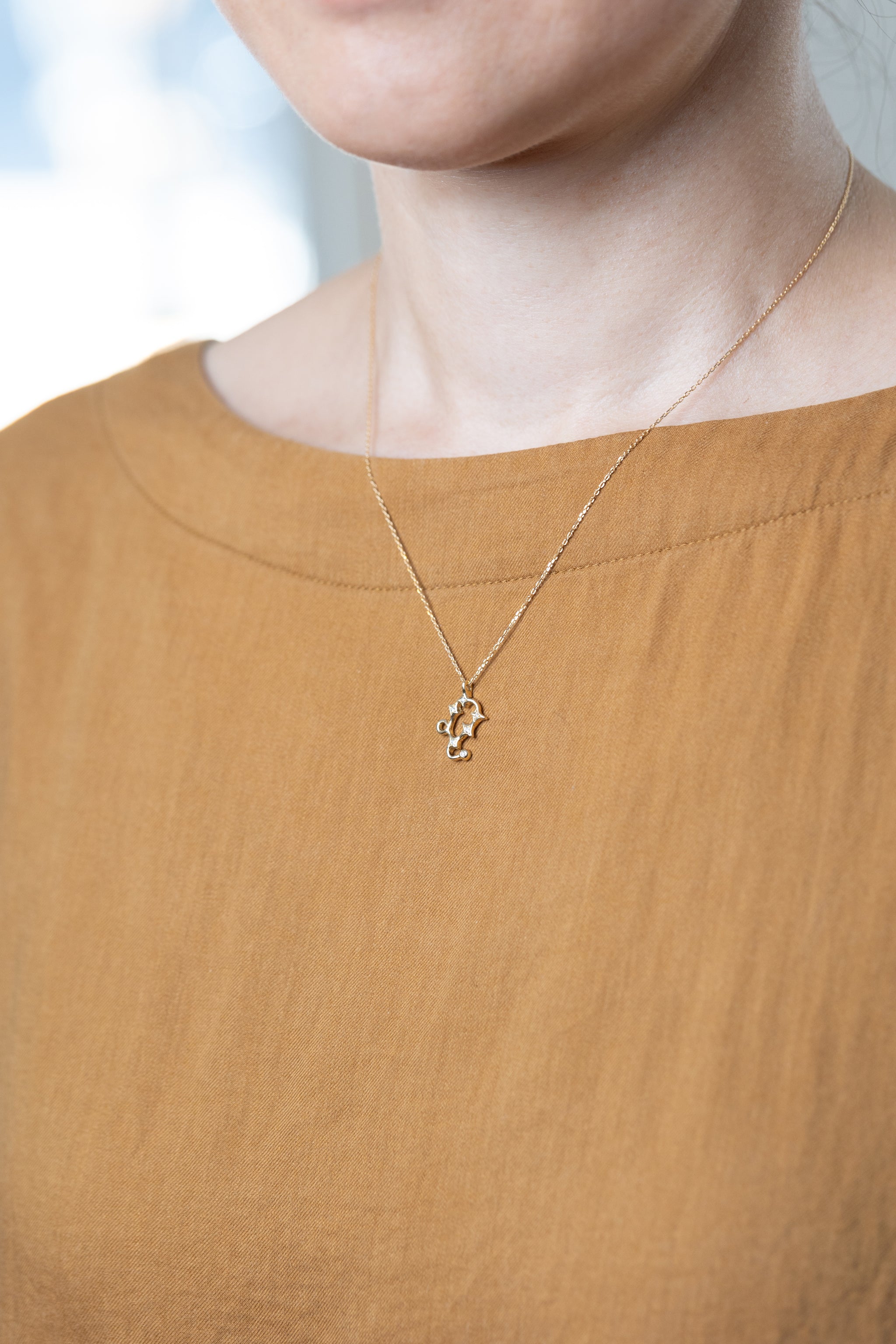 Tiffany & Co. シルバー925 獅子座LEOネックレス