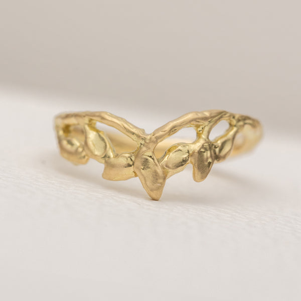 月桂樹のリング – ileava jewelry